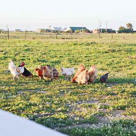 Aintree Farm Cottage Langebaan Dış mekan fotoğraf