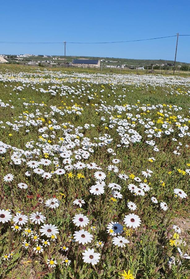 Aintree Farm Cottage Langebaan Dış mekan fotoğraf